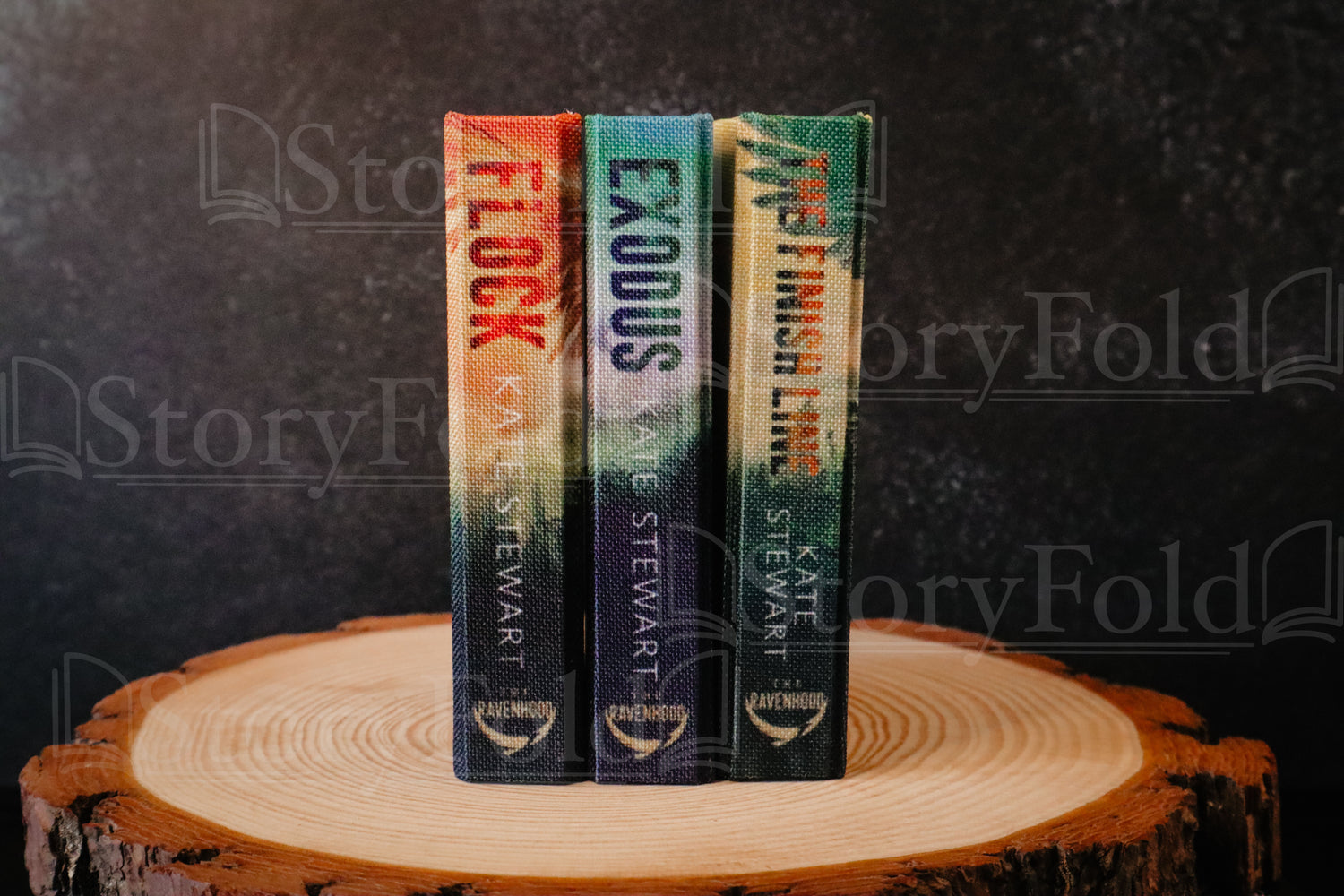 The Ravenhood Trilogy Officially Licensed Book Wallets Set